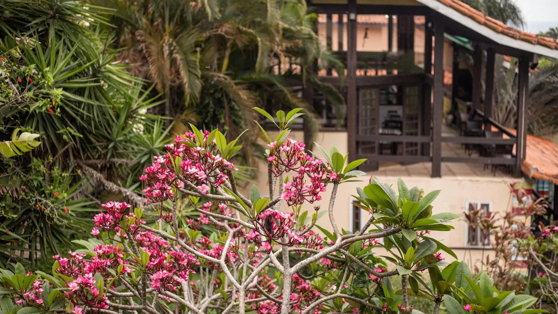 Hibiscus Beach Armacao dos Buzios Inn
