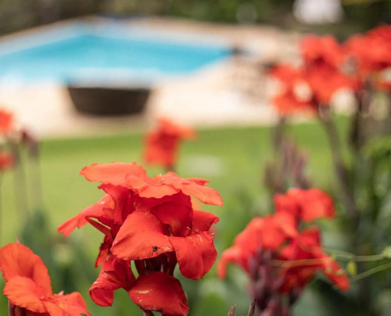Hibiscus Beach Armacao dos Buzios Inn