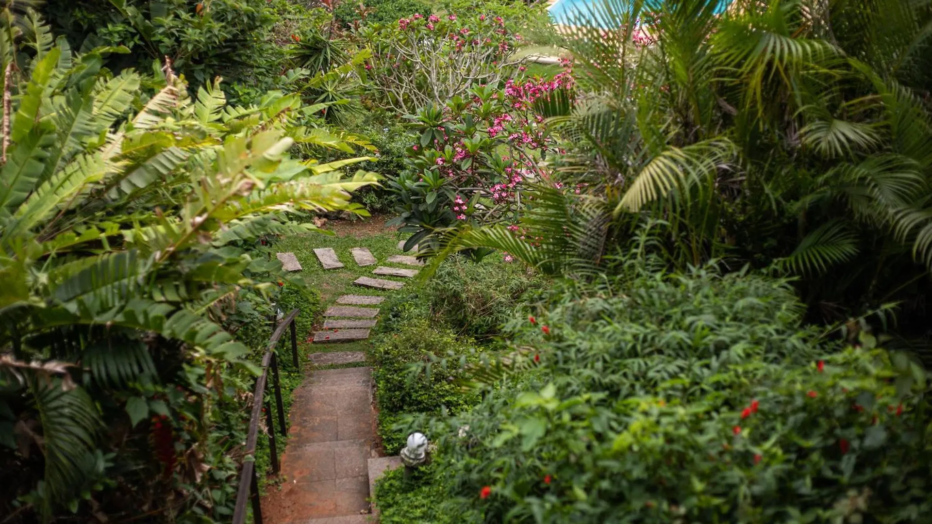 Inn Hibiscus Beach Armacao dos Buzios
